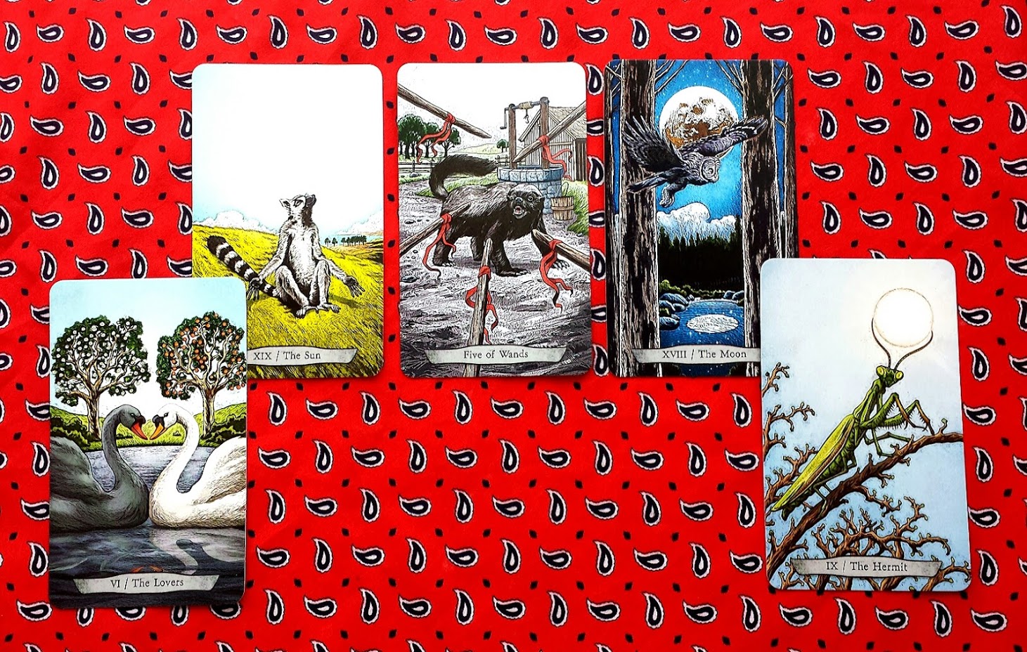 astro june 18-24 wx cr